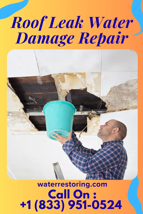Roof Leak Water Damage Repair in Lazy Lake, FL